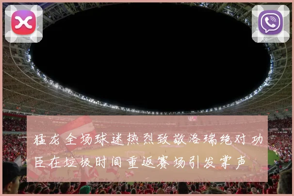 猛龙全场球迷热烈致敬洛瑞绝对功臣在垃圾时间重返赛场引发掌声