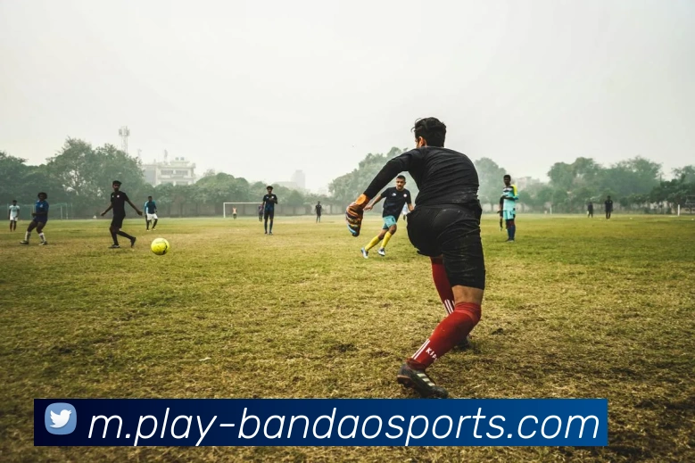 半岛体育平台生态图